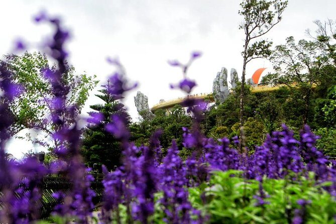 Ba Na Hills Private Tour - Stop 2: The flower garden train ride and selfie time