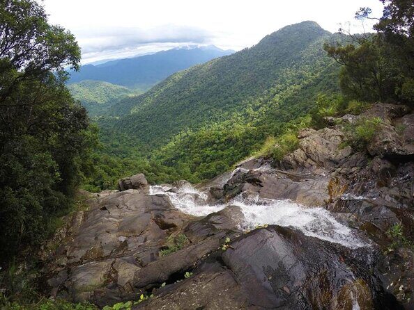 Bach Ma National Park trekking daily tour from Da Nang, Hoi An - Key Points at a Glance
