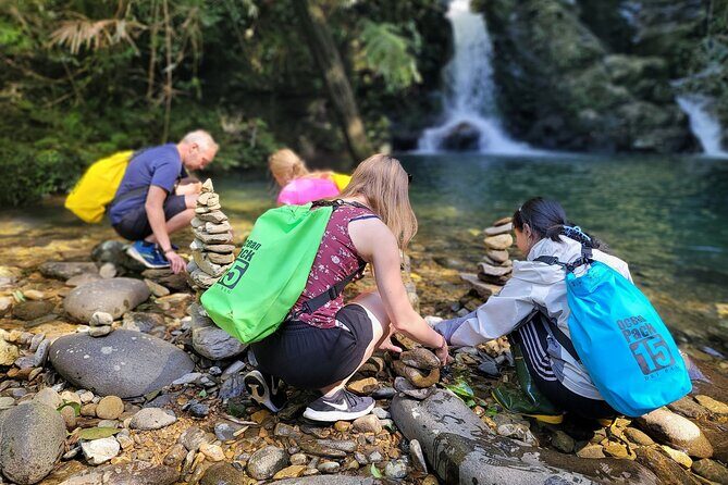 Bach Ma National Park trekking daily tour from Da Nang, Hoi An - Getting There: AC Van Pickup, Then the Trail Begins at Km12