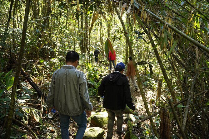 Bach Ma National Park trekking daily tour from Da Nang, Hoi An - Ngu Ho (Five Lakes): Picnic Time, Wet Feet, and a Swim Break