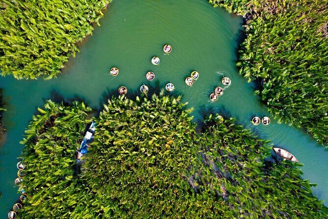 Basket Boat Ride, Coconut Forest, Sunset and Hoi An Town by Night - Key Takeaways Before You Go