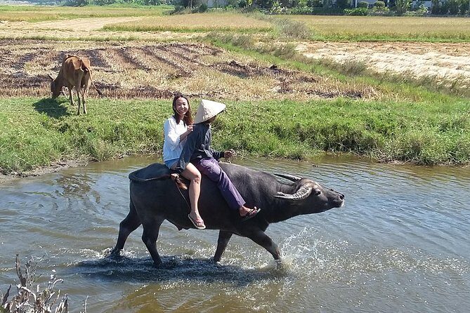 Buffalo Riding and basket boat tour from Da Nang/ Hoi An - Pickup, transfers, and the small-group pace you’ll feel