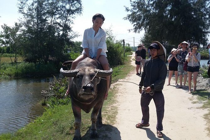 Buffalo Riding and basket boat tour from Da Nang/ Hoi An - Bay Mau Coconut Forest: life around Cam Thanh changes fast