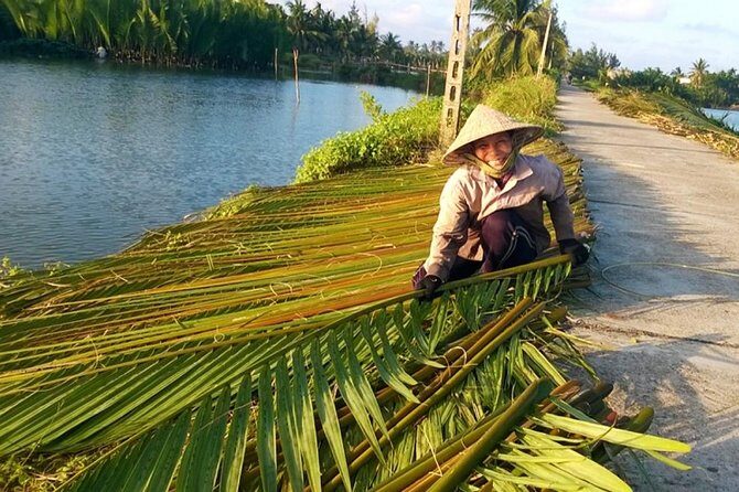 Buffalo Riding and basket boat tour from Da Nang/ Hoi An - Bamboo basket boats: calm, playful, and built for photos