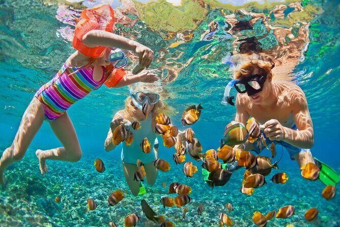 Cham Island Daily-Snorkeling(Optional:Pick up at Cua Dai Port) - Key highlights (what makes this tour worth your time)
