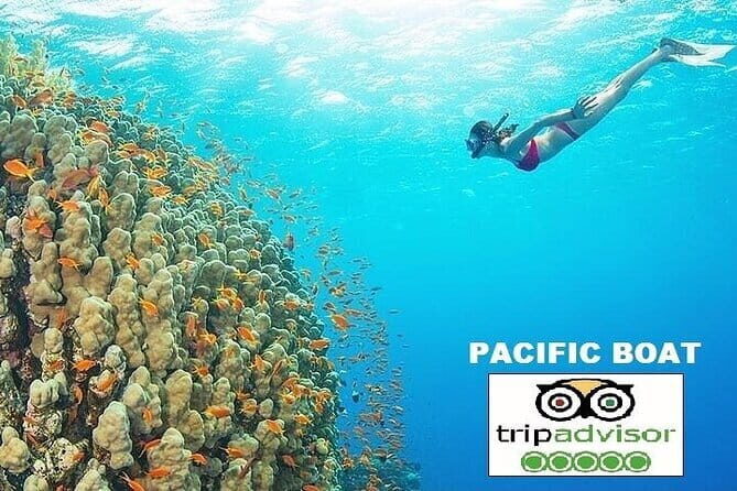 Cham island snorkeling tour - Key things I’d circle before you go
