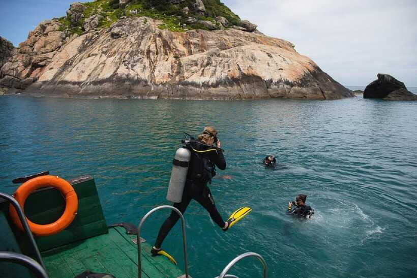 Cham Islands Snorkeling Tour by Speedboat : Hoi An/Da Nang - Your snorkeling window at Bai Ong or Bai Chong