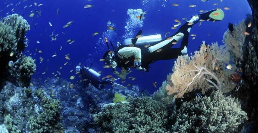 Cham Islands Snorkeling Tour by Speedboat : Hoi An/Da Nang - Price, pace, and what you’re really buying at $33