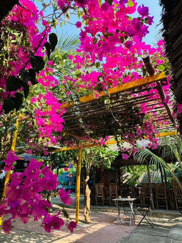 Da Nang: Marble Mountains, Hoi An, and Coconut Forest Tour - Why this Da Nang–Hoi An day trip works (and for whom)