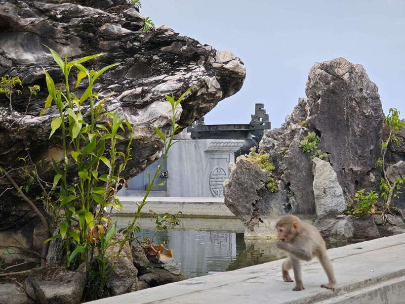 Da Nang : Private Car to Hue with Multi Sightseeing Stops - What you’ll experience inside the car (and why it’s worth it)