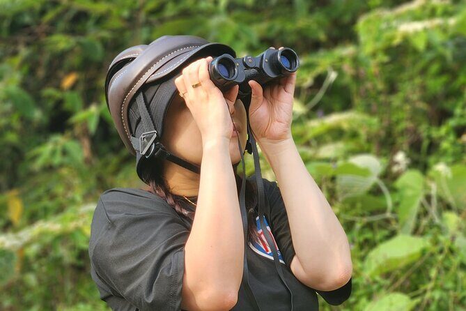 Endangered Monkeys Watching - Red Shanked Douc Langurs - Meet at Esco Beach, then ride into Son Tra by scooter