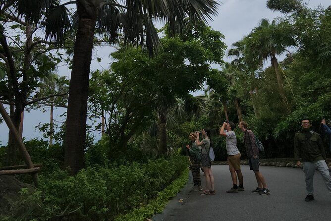 Endangered Monkeys Watching - Red Shanked Douc Langurs - Photo-friendly stops: Monkey Mountain views and secret beach breaks