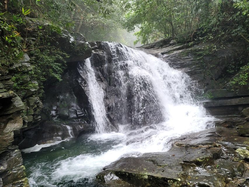 From Da Nang or Hoi An: Bach Ma National Park Trek & Lunch - Getting to Bach Ma from Hoi An or Da Nang (and why your day starts early)