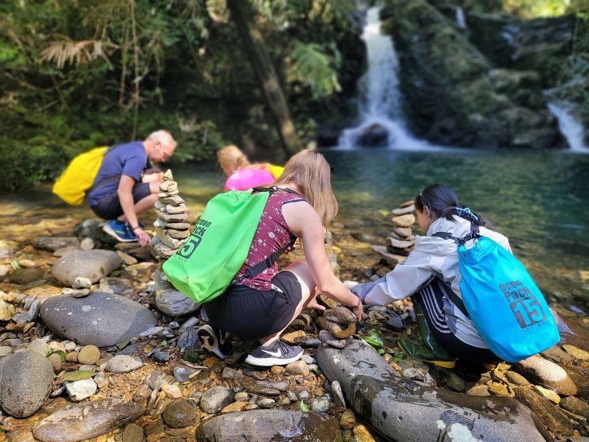 From Da Nang or Hoi An: Bach Ma National Park Trek & Lunch - Do Quyen Waterfall: 300 meters of reason to grin through the tough parts