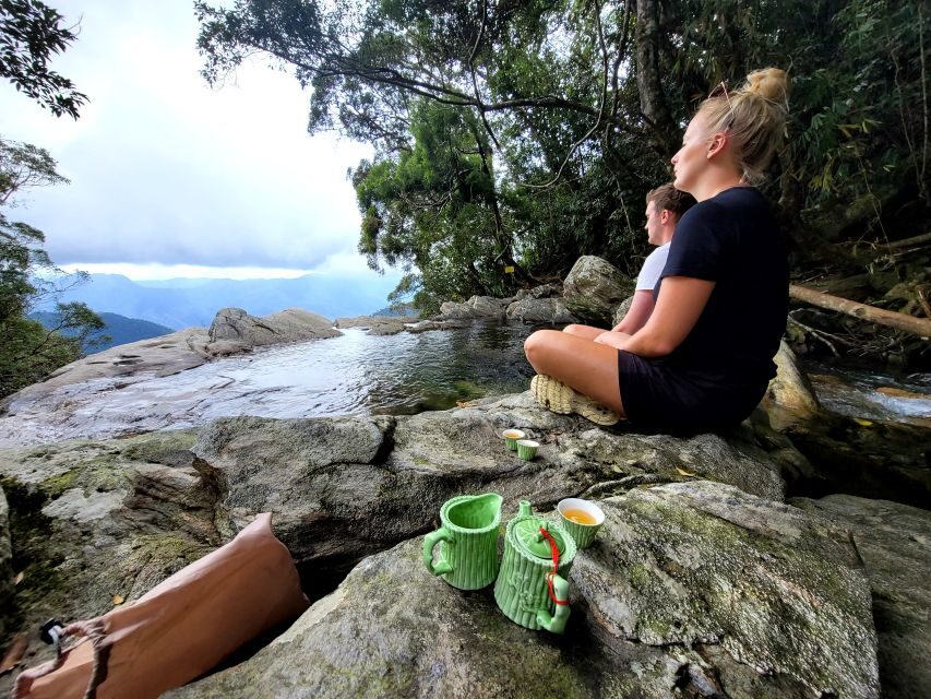 From Da Nang or Hoi An: Bach Ma National Park Trek & Lunch - Guides in the jungle: why small-group leadership matters here