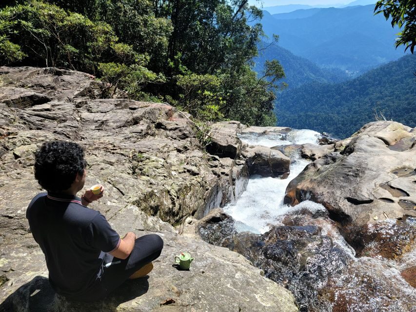 From Da Nang or Hoi An: Bach Ma National Park Trek & Lunch - What the trek feels like on your body (and how to prepare)