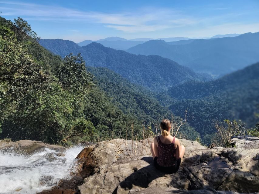 From Da Nang or Hoi An: Bach Ma National Park Trek & Lunch - Rain, route changes, and the “park work” reality