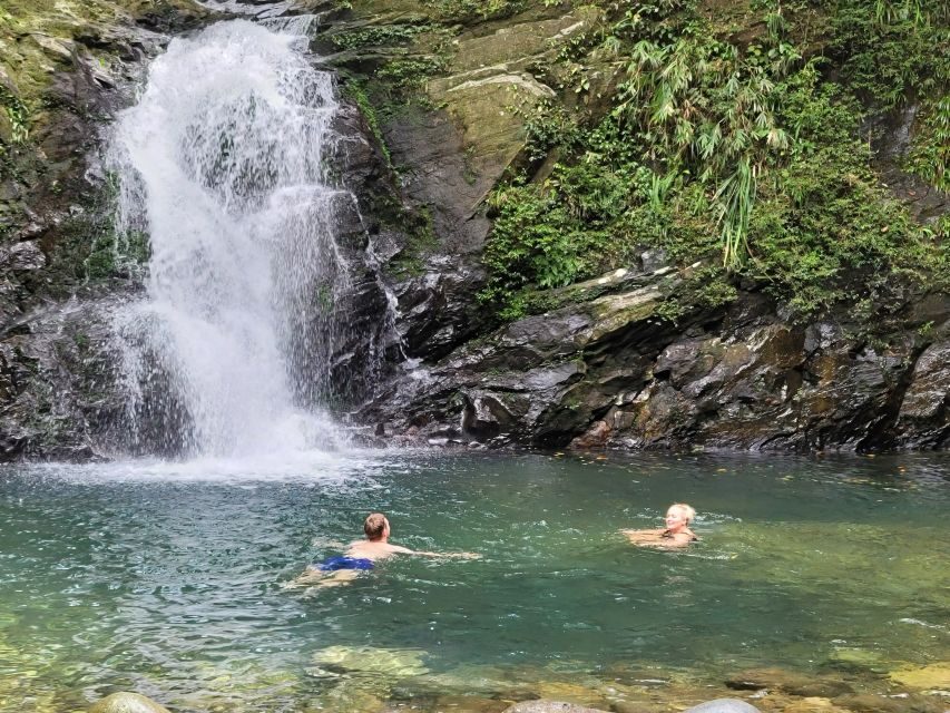 From Da Nang or Hoi An: Bach Ma National Park Trek & Lunch - Price and value: is $71 worth it?
