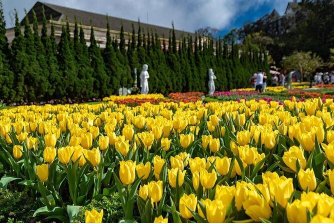 Full day Ba Na Hill with Cable Car and Lunch from Da Nang - French Village and L’Jardin: the photo zones with real details
