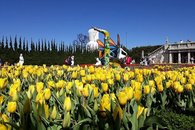 Golden Hand Bridge And Ba Na Hills tour from Hoi An/ Da Nang - Should You Book This Ba Na Hills Tour from Hoi An or Da Nang?