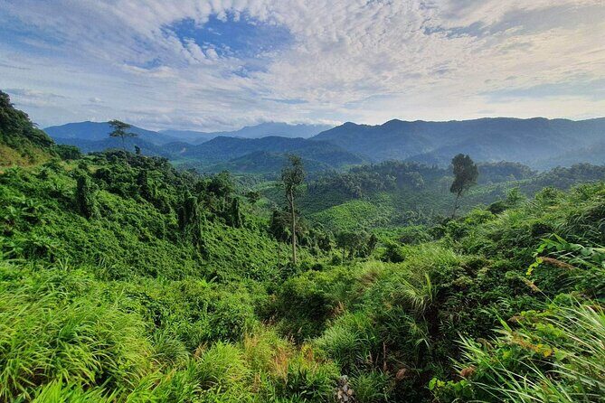 Hai Van pass private car tour from Hue-Da Nang-Hoi An (1Way|Loop) - Suoi Mo Waterfall (Dream Waterfall): a cooler forest reset