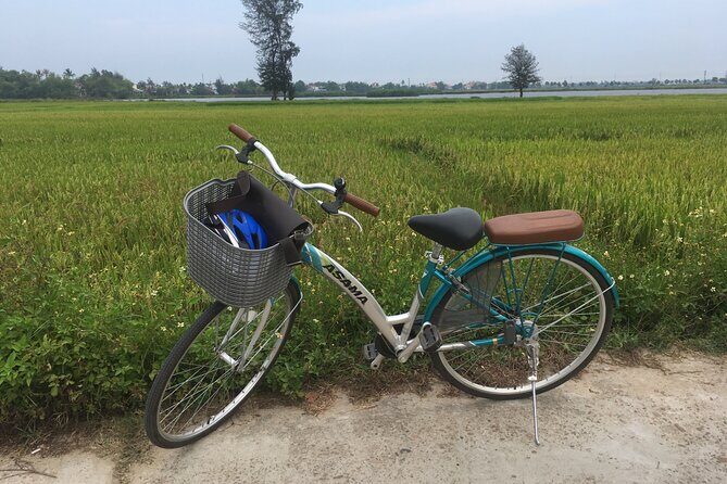 Hoi An countryside biking tour, water buffalo+ basket boat ride - Who the guide part really matters for