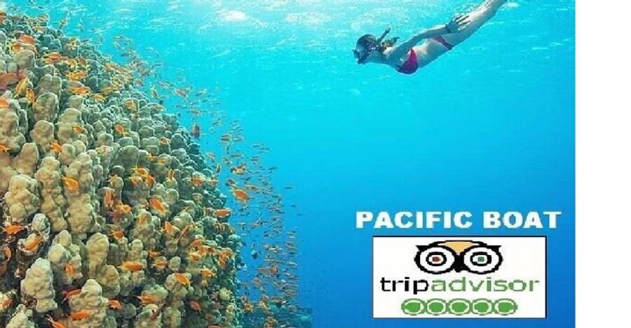 Hoi An/Da Nang: Snorkelling & Island-Hopping Speedboat Tour - Quick hits before you go