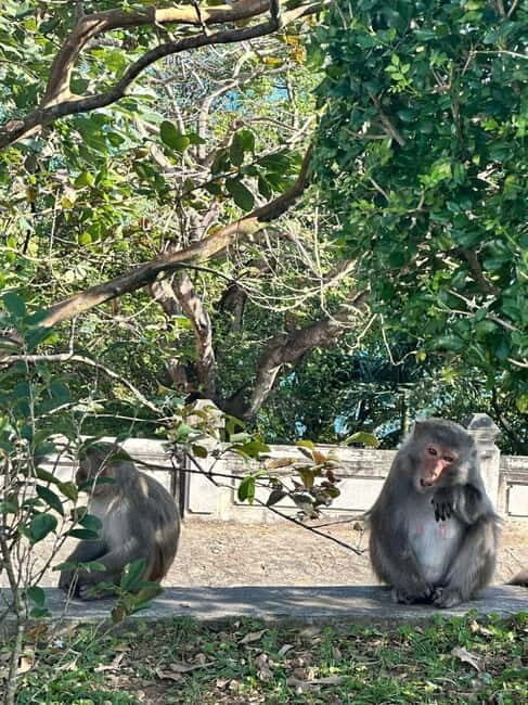 Hue: Private Car to/from Hoi An via Multi Attractions(1-Way) - Marble Mountains: caves, pagodas, and Buddhist architecture