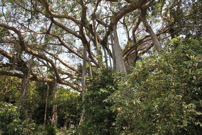 Jeep Tour Monkey Mountain & Son Tra Peninsula 3Hr - Linh Ung Pagoda and Da Nang’s Lady Buddha: a short visit with big presence