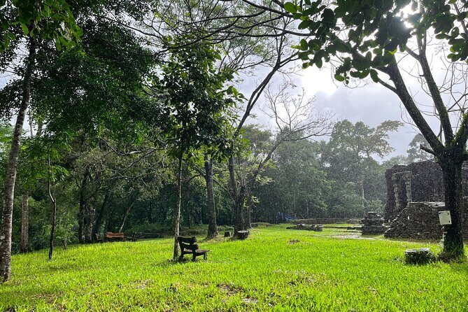 My Son Sanctuary Guided Tour with Rice Paper Making from Da Nang - Weather, Rain, and Staying Comfortable