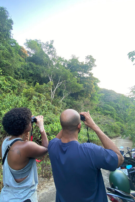 Safari - Finding the most endangered monkey in the World - The Guide Team: Small Group Energy and Strong Scanning Skills