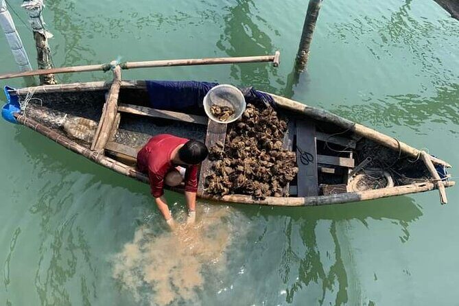 Vietnam/Lang Co Oyster Tour by Fishing & Tasting Oyster Flavors - Key Highlights Worth Marking on Your Day