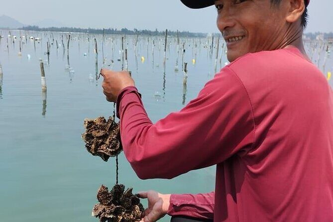 Vietnam/Lang Co Oyster Tour by Fishing & Tasting Oyster Flavors - Pickup from Da Nang and the Red Beach to Hai Van Pass Drive
