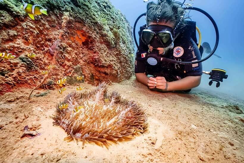 Visit Cham Islands & Snorkelling & Scuba Diving - Arrival on Cham: Lang Island and Its Real-World Scale