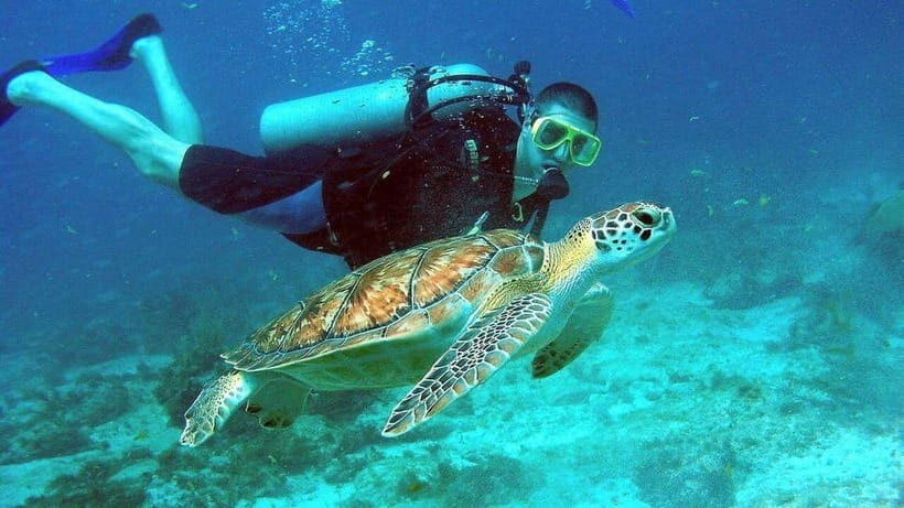 Visit Cham Islands & Snorkelling & Scuba Diving - Lang Beach Stops: Marine Sanctuary and the Love-Well Story