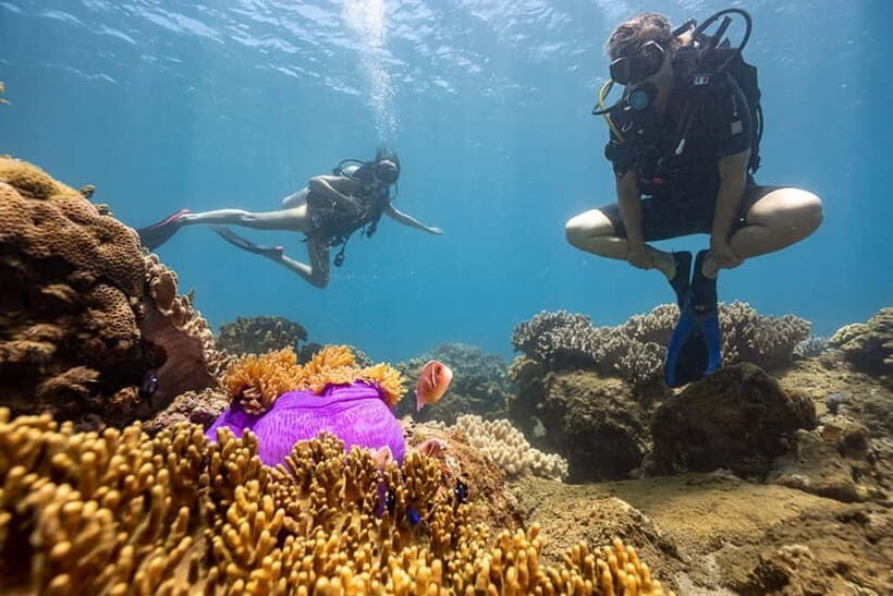 Visit Cham Islands & Snorkelling & Scuba Diving - Hai Tang Pagoda: A Calm Pause Between Sea Time