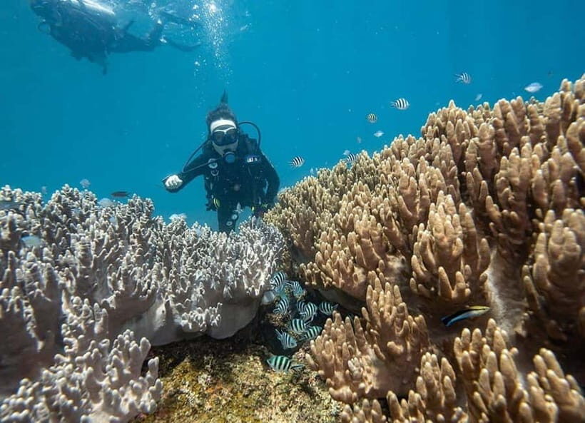 Visit Cham Islands & Snorkelling & Scuba Diving - Chong/Ong Beach: Where Your Water Time Happens